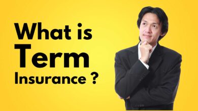 What is Term Insurance ?